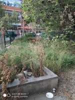 Добросовестно покосим траву, уборка участка,вспашка огорода Одесса фото 1
