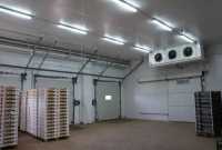 Холодильна камера Тривалого зберігання яєць (встановлення під ключ) фото