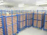 Холодильна камера Тривалого зберігання яєць (встановлення під ключ) Одесса фото 3