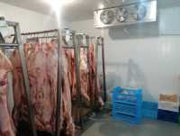 Морозильна камера - Шокова заморозка ковбас, м'яса, сирів ( Під ключ) Одесса фото 2