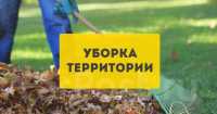 Уборка расчистка участка , территории , вывоз мусора, демонтажразнорабочие Одесс Одесса фото 2