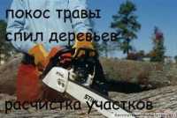 Услуги садовник, спил деревьев ,земляные работы, демонтаж, уборка, вывоз Одеса Одесса фото 2